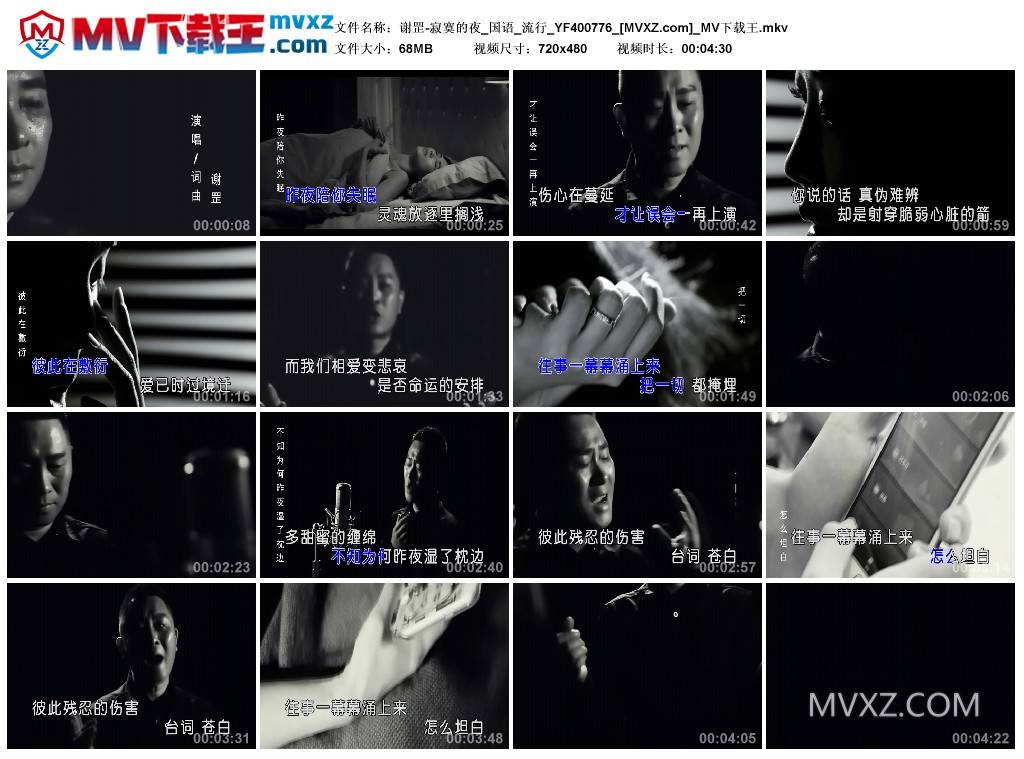 谢罡-寂寞的夜_国语_流行_YF400776